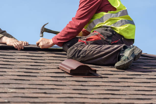 Best Roof Maintenance Services  in Marion, AL