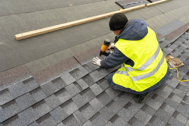 Best Roof Gutter Cleaning  in Marion, AL