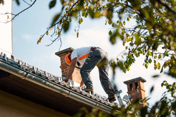 Best Roof Gutter Cleaning  in Marion, AL