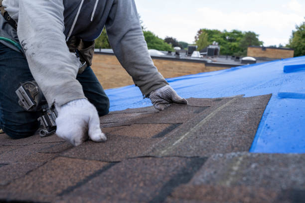 Best Metal Roofing Contractor  in Marion, AL
