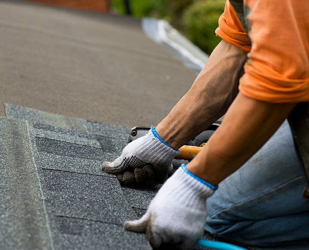 Best Roof Replacement Cost  in Marion, AL