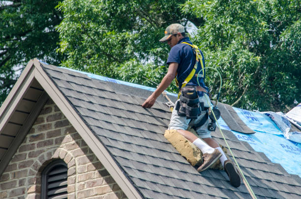 Best Residential Roofing Contractor  in Marion, AL